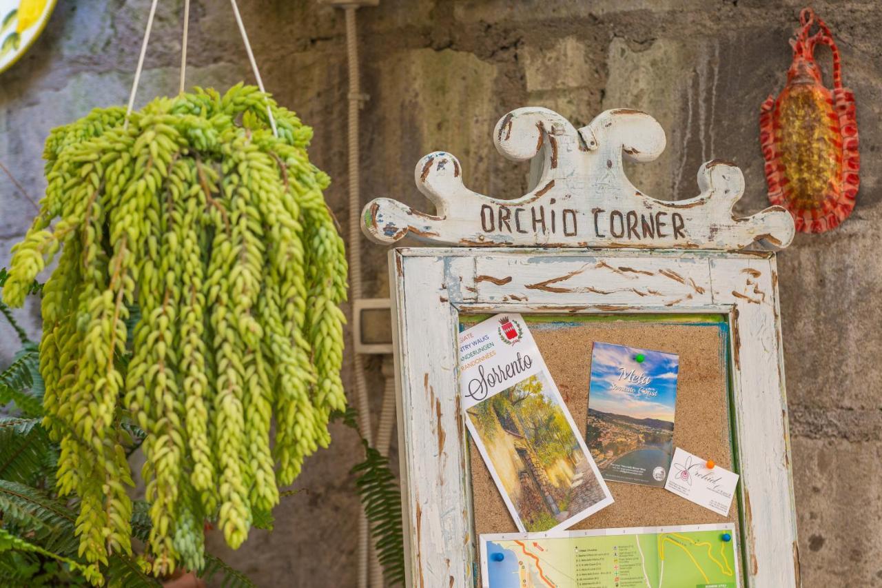 Orchid Corner Guesthouse Meta Εξωτερικό φωτογραφία