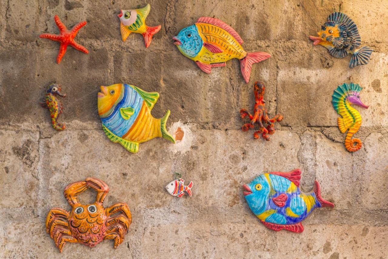 Orchid Corner Guesthouse Meta Εξωτερικό φωτογραφία