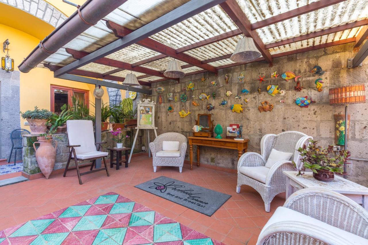 Orchid Corner Guesthouse Meta Εξωτερικό φωτογραφία