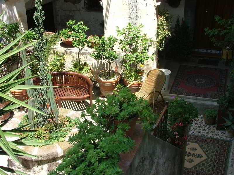 Orchid Corner Guesthouse Meta Εξωτερικό φωτογραφία