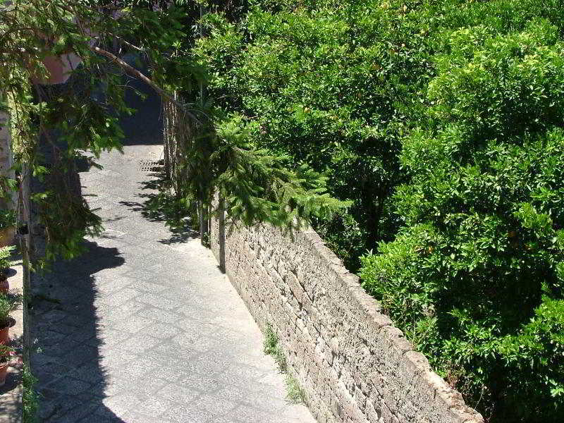 Orchid Corner Guesthouse Meta Εξωτερικό φωτογραφία