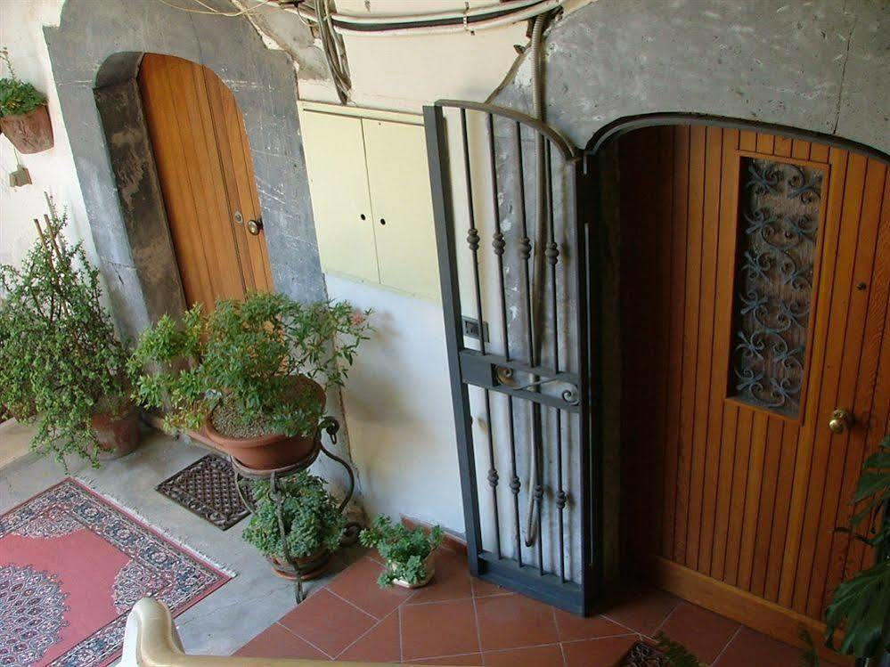 Orchid Corner Guesthouse Meta Εξωτερικό φωτογραφία