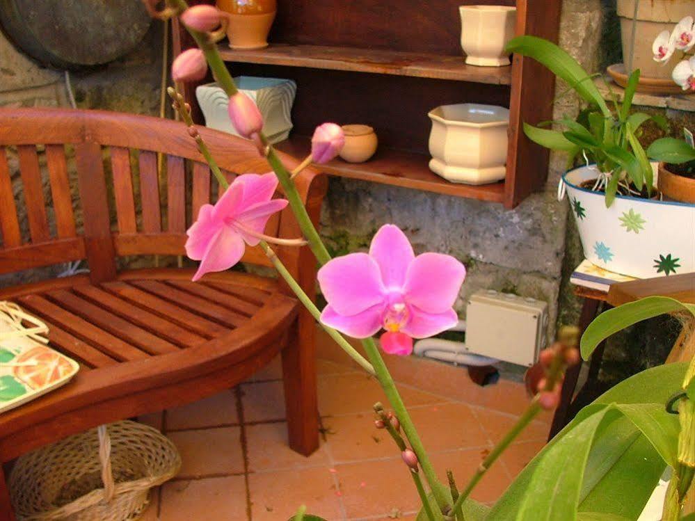 Orchid Corner Guesthouse Meta Εξωτερικό φωτογραφία